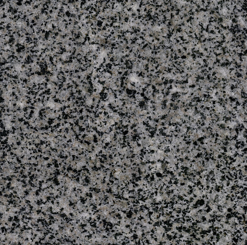 G1981 Black and White