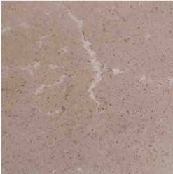 Lime Saturnia Noce