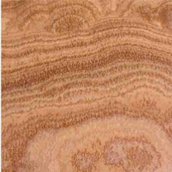 Timber Brown