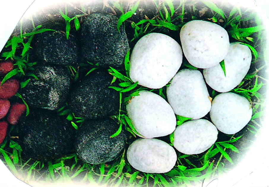 Black Pebbles(tumbled)