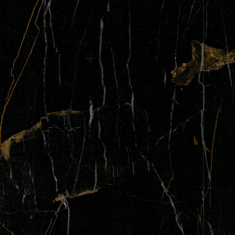 Black and Gold