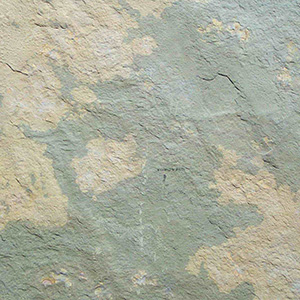 Sand Yellow(mudstone)