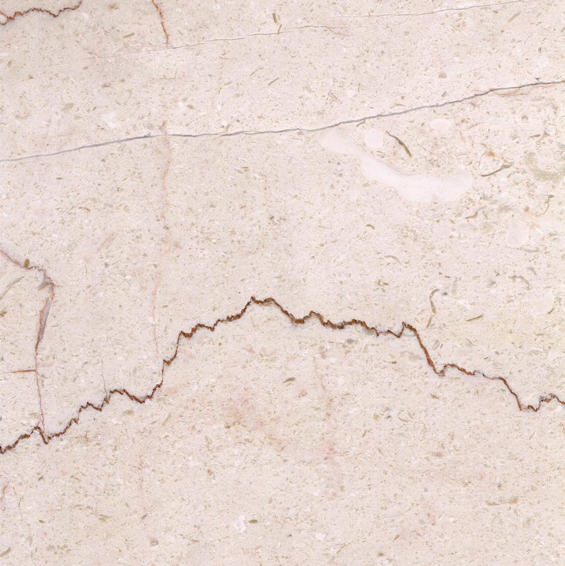 Shell Beige