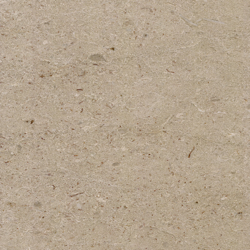 Tiger Beige
