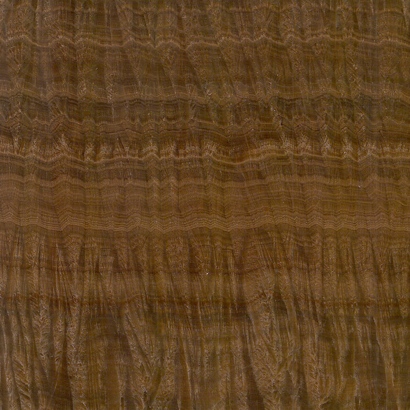 Tiger Onyx